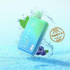 Blueberry_Mint_1.jpgvape24.ai