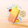 Double_Mango.jpgvape24.ai
