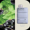 Buy Fummo Magnum 8000 Puffs Disposable Vape in Dubai Flavors: Black Mint