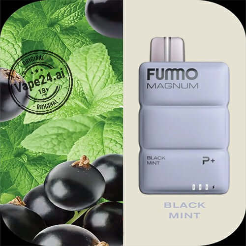 Buy Fummo Magnum 8000 Puffs Disposable Vape in Dubai Flavors: Black Mint