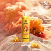 Silva Rock 12000 Vape Dubai - New 2024 DTL PuffsFlavors: BBQ Chips