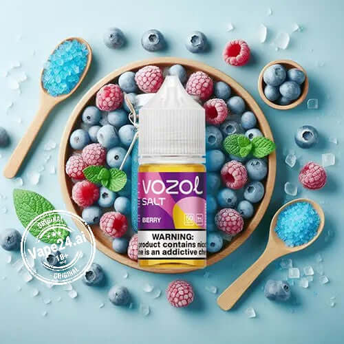 Buy Vozol Saltnic 30MG & 50MG E-liquid in Dubai - Best Price Flavors ::: Blueberry Raspberry