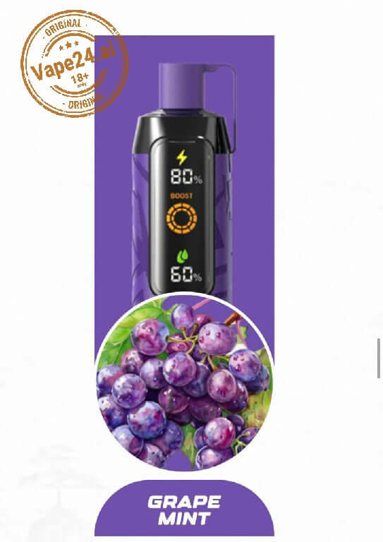 NERD Cloud 20000 Puffs 6mg Disposable Vape in Dubai UAE Flavors ::: Grape Mint