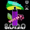 Al Fakher 8000 Puffs Disposable Vape - Buy in DubaiFlavors-: Grape Mint