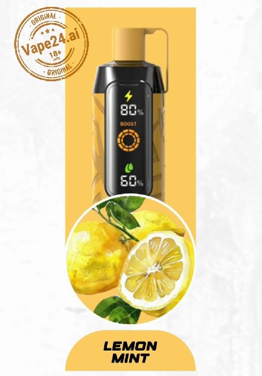 NERD Cloud 20000 Puffs 6mg Disposable Vape in Dubai UAE Flavors ::: Lemon Mint