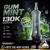 AAOK 130K Puffs Disposable Vape Gum Mint
