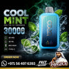 BECO POP 30K Puffs Rechargeable Disposable Vape Cool Mint