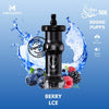 Mosmo Sultan 50000 Puffs (DTL) Disposable E-Hookah Dubai