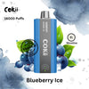 Cokii 16000 Puffs Zero Nicotine Disposable Vape in Dubai, UAE
