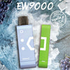 Elf Bar EW9000 Disposable Pods – 9000 Puffs in UAE Flavors: Grape