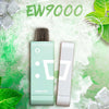 Elf Bar EW9000 Disposable Pods – 9000 Puffs in UAE Flavors: Miami Mint