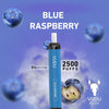 Indulge in 2500 Puffs: VUDU FILTER Best Prices in Dubai UAEFlavors: Blue Raspberry