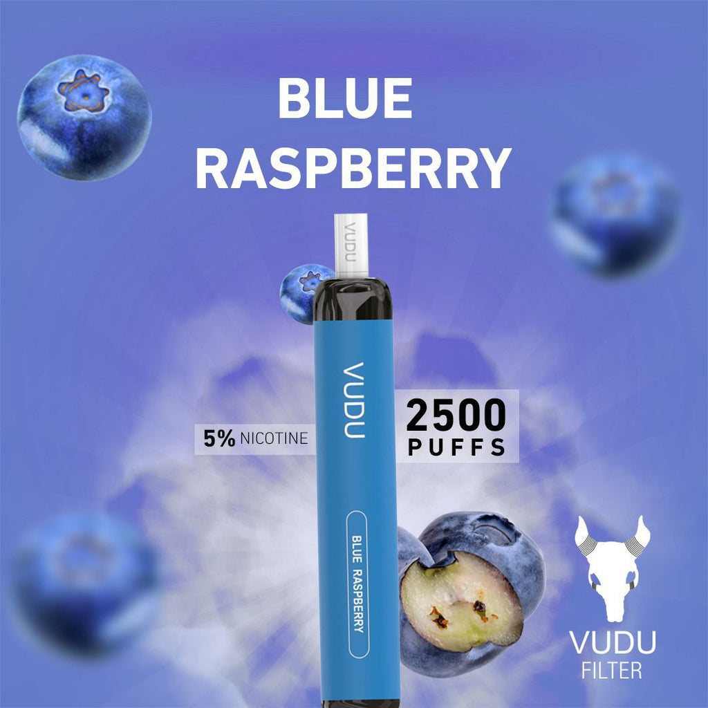 Indulge in 2500 Puffs: VUDU FILTER Best Prices in Dubai UAEFlavors: Blue Raspberry