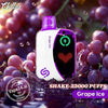 Chillax Shake 25000 Puffs Disposable Vape-Best Price in DubaiFLAVOR ::: Grape Ice