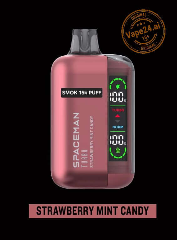 SMOK Spaceman Turbo 15000 Puffs Disposable Vape in DubaiFlavors ::: Strawberry Mint Candy